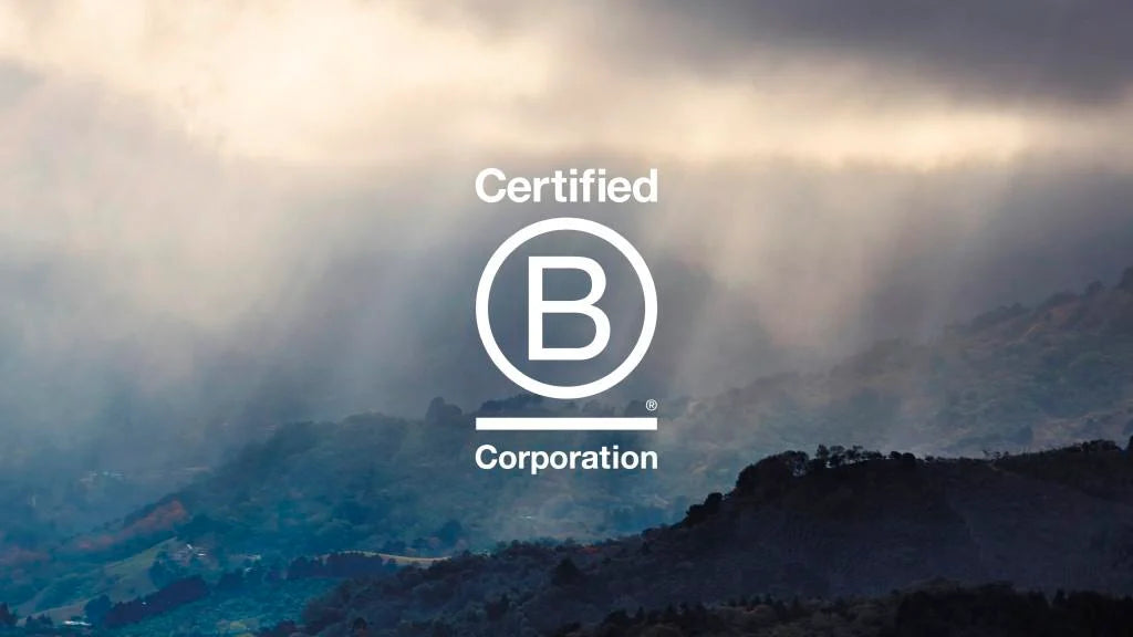 B Corp Month - brands that do good.