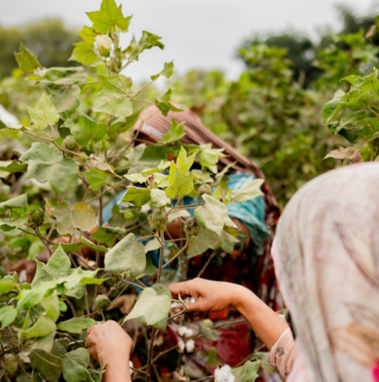 We're committing 10% of our profits towards progress