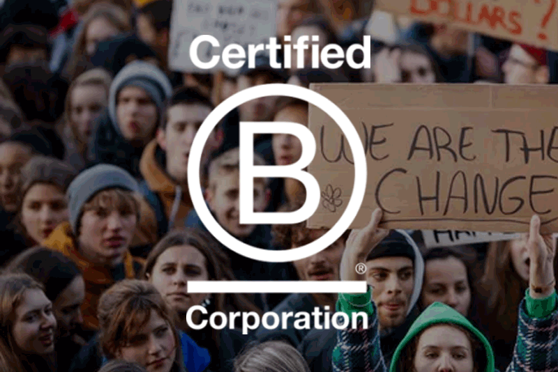 Logo showing DAME is a B Corp